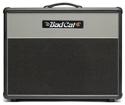 Bad Cat Era 1 X 12 Cabinet in Grey