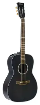 Takamine Gy14E Tos & Tp4T