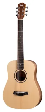 Taylor BT1