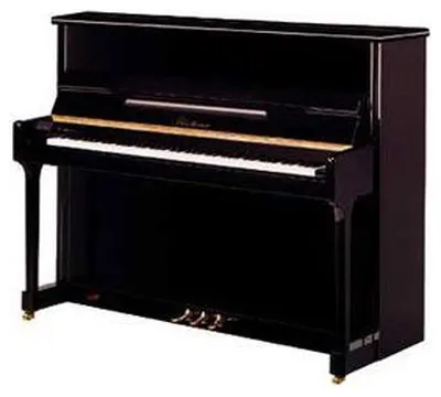 Blüthner Modell C Klavier, 118 cm ,schwarz poliert