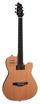 Godin A12 Natural SG - 12-String NT SG Natural Semigloss- Finish
