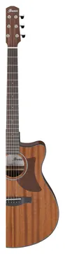 Ibanez AAM54CE Open Pore Natural