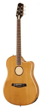 L.R.Baggs AEG 1 E-Acoustic Torrefied