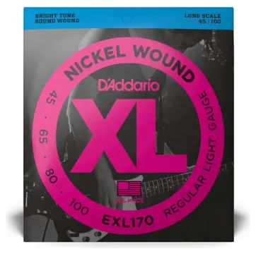 D Addario EXL170 (45-100)