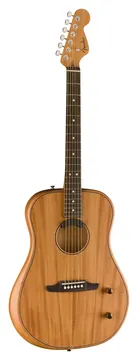 Fender Highway Dreadnought RW Ganzmahagoni
