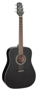 Takamine GD30