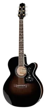 Takamine EF450C-TT TBB w/Softcase