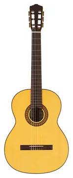 Salvador Cortez CS-25 Konzertgitarre