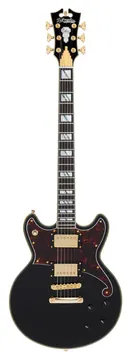 D'Angelico Deluxe Brighton Deckendes Schwarz