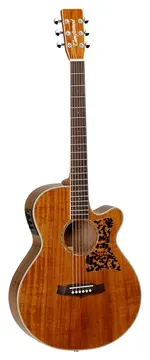 Tanglewood Performance Pro TW47 ASE
