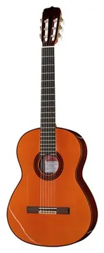 Ramirez Estudio Flamenco Palosanto