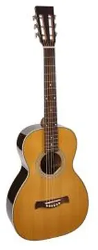 Richwood P-65-VA Master Series Handmade Parlor Guitar Vintage Aged, P-65-VA