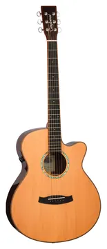 Tanglewood TRS4CE Rosewood Smart Super Folk
