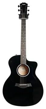 Taylor 214ce-BLK DLX
