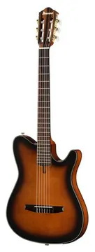 Ibanez FRH10N-BSF E-Konzertgitarre