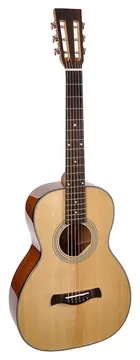 Richwood Master Series P-40 handmade parlor guitar