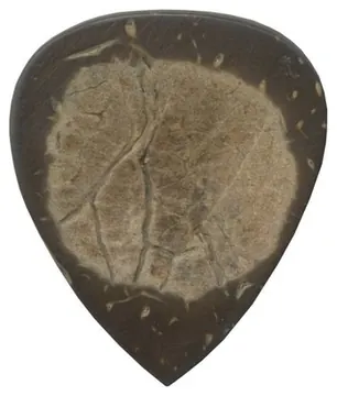 Clayton Plektrum Exotic Wood Kokosnuss 525936