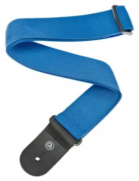 Daddario D´Addario PWS102