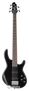Cort Baixo Cort ACTION BASS V 5 Cordas Cor Preto