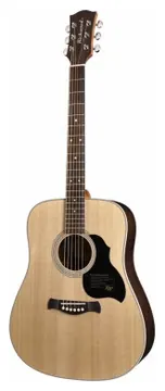 Richwood Master Series akoestische gitaar - pallissander