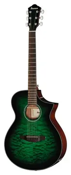 Ibanez AEWC16QA-TEH