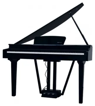 Pianoforte "codino" ECHORD GP10 Black
