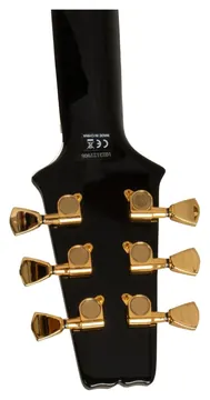 Aria Pro II PE-350CST Aged Black