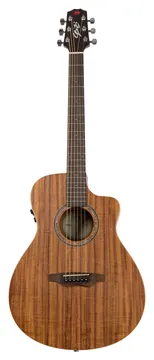 Seizi Zen Cutaway Kaizen Plus - Koa