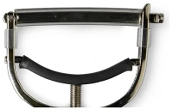Taylor Acoustic Capo Bright Nickel