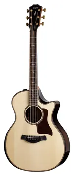 Taylor Builder’s Edition 814ce