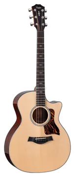 Taylor Next Generation 314ce