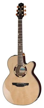 Takamine DSF48C
