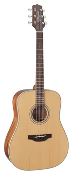 Takamine GD20NS Westerngitaar