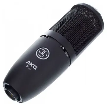 AKG P120