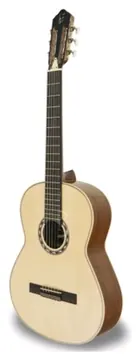 APC CGS 308, viola de fado