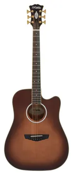 D'Angelico Bowery Autumn Burst