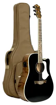 Tagima FS-200 Florens Series Folk BK Pré Fishman C/ Bag