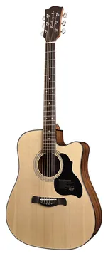 Richwood Master Series D-40-CE handmade dreadnought guitar