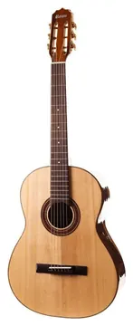 Rozini Studio Natural Elétrico Aço RX-211 ATN - Rozini