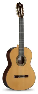 Alhambra V GUITAR 4 P