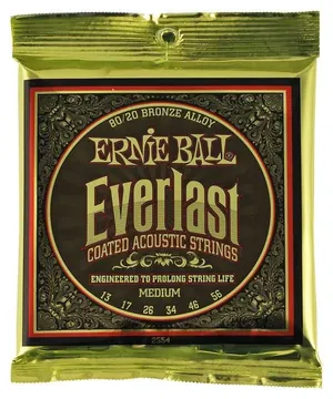 Ernie Ball 2554 Everlast Bronze Medium | 013-056
