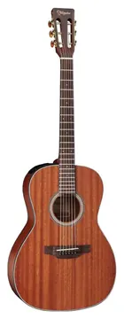 Takamine New Yorker GY-11ME MGS & TP4T - Takamine