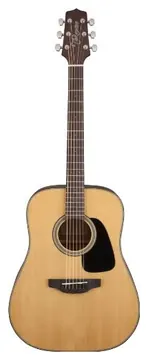 Takamine GD10 NS