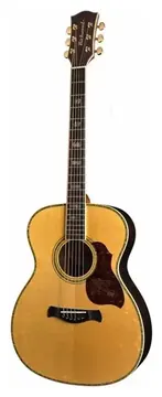 Richwood A-70-EVA Chitarra acustica auditorium elettrificata