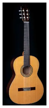 Esteve ICS MOD.3