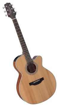 Takamine GN20CENS