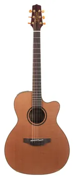Takamine P3MC Cedar Sapele 2023