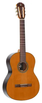 Pleyel P200 Studio 4/4