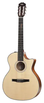 Taylor 314CE-N Klassieke Gitaar met Element