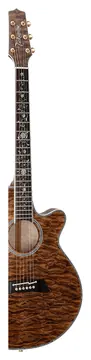 Takamine Japon Thin Line Series Tsp100 Fx Cutaway Quilt Vintage Tobacco